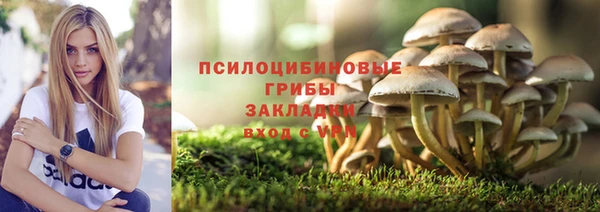 ешки Домодедово
