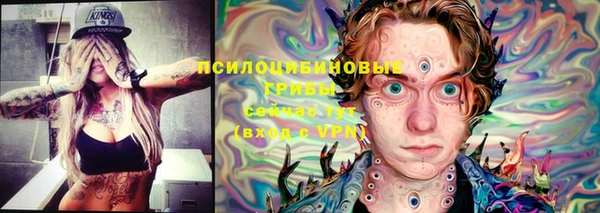 прущие крисы Березники