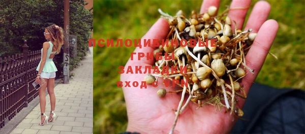 первитин Одинцово