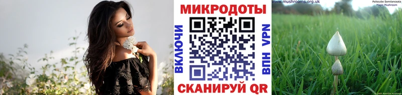 Галлюциногенные грибы прущие грибы  Ак-Довурак 