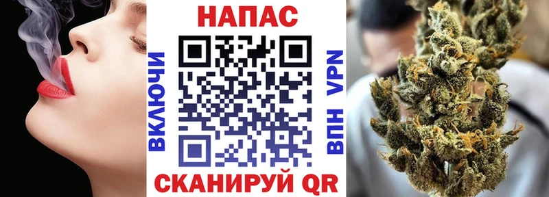 хочу   Ак-Довурак  Марихуана ГИДРОПОН 